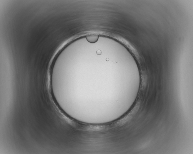 X0000113091286200908281000