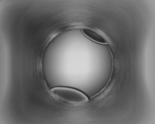 X0000113091289200908281000