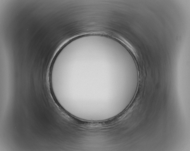 X0000113091291200908281000