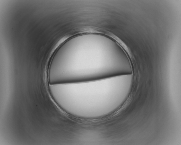 X0000113091293200908281000