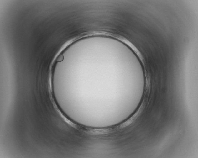 X0000113091294200908281000