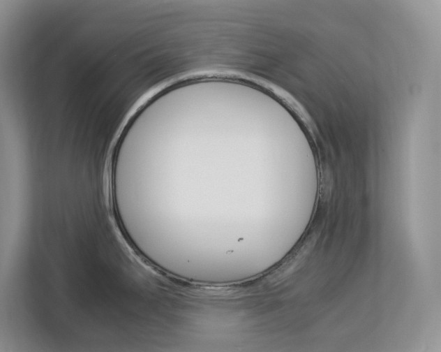 X0000113091295200908281000