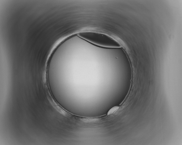 X0000113091296200908281000