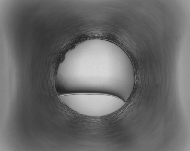 X0000113091297200908280959