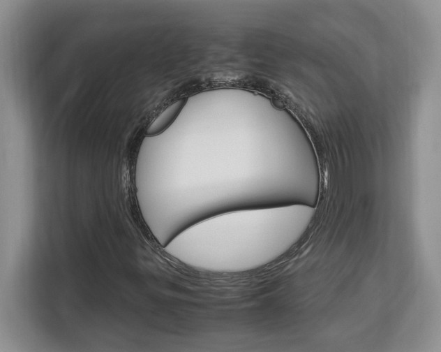 X0000113091299200908280959