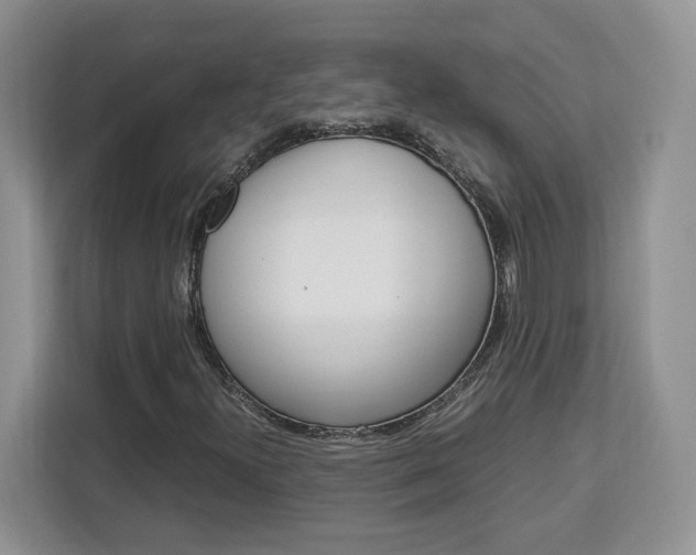 X0000113091300200908280959