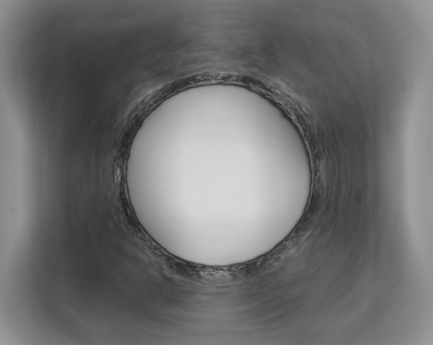 X0000113091302200908280959