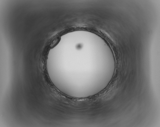 X0000113091303200908280959