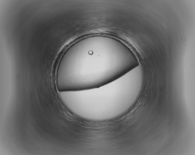 X0000113091308200908280959