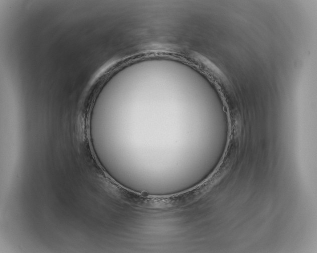 X0000113091310200908280959