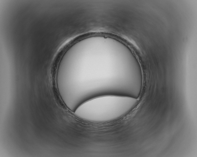 X0000113091311200908280959