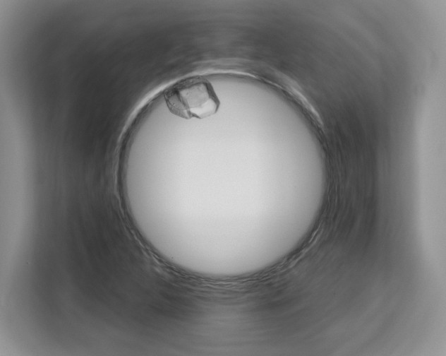 X0000113091312200908280959
