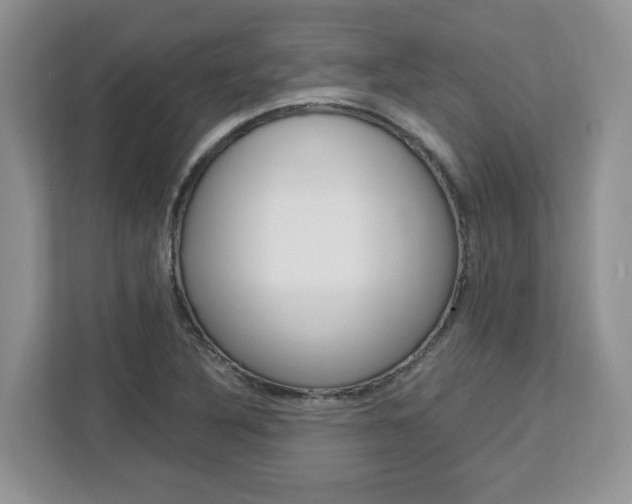 X0000113091316200908280959