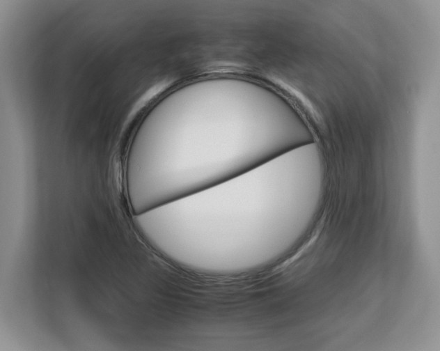 X0000113091317200908280959