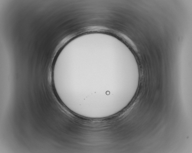 X0000113091322200908280959