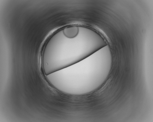 X0000113091323200908280959