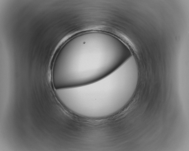X0000113091324200908280959