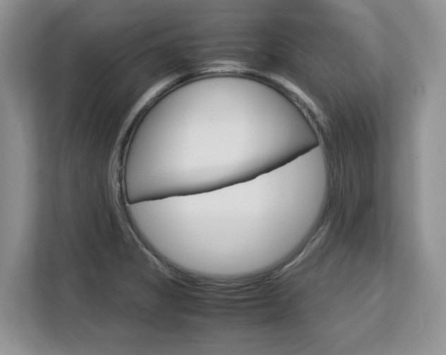 X0000113091325200908280959