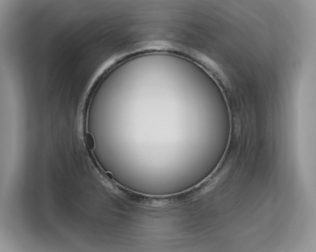 X0000113091326200908280959