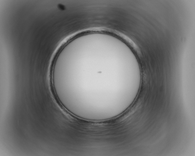 X0000113091327200908280959