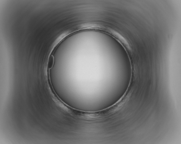 X0000113091330200908280959