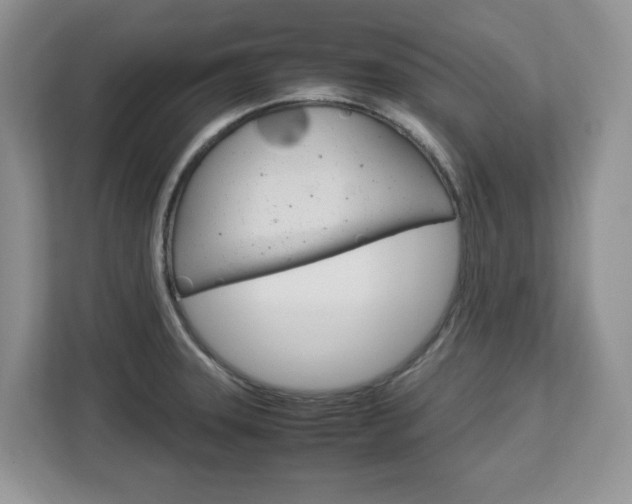 X0000113091331200908280959