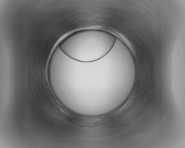 X0000113091332200908280959