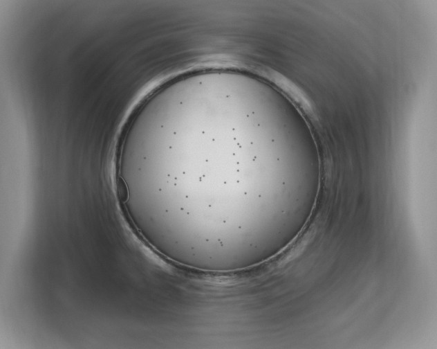 X0000113091334200908280959