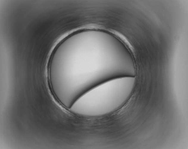X0000113091335200908280959