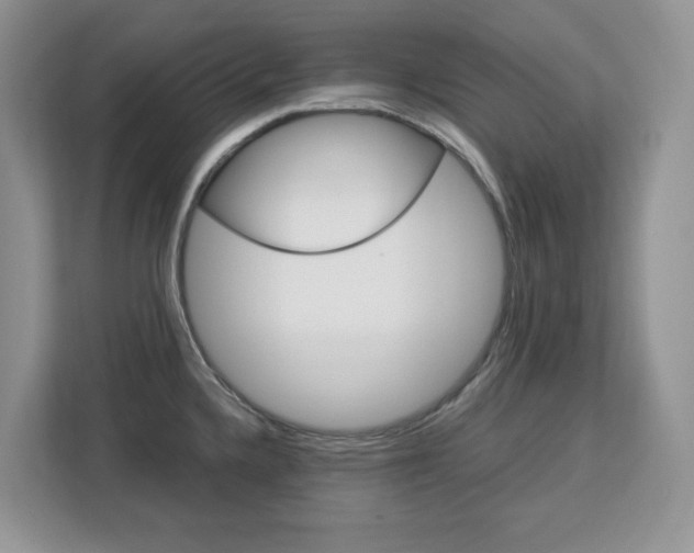 X0000113091336200908280959