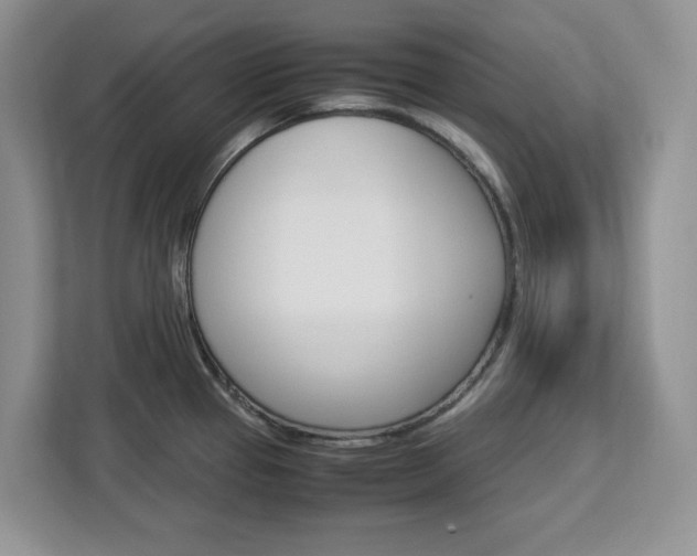 X0000113091337200908280959