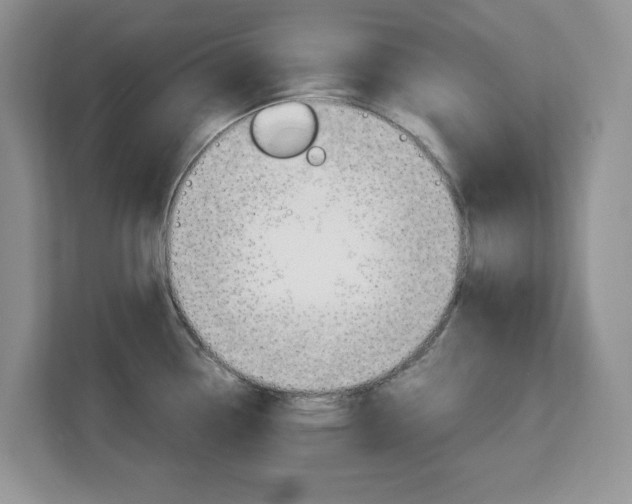 X0000113091338200908280959