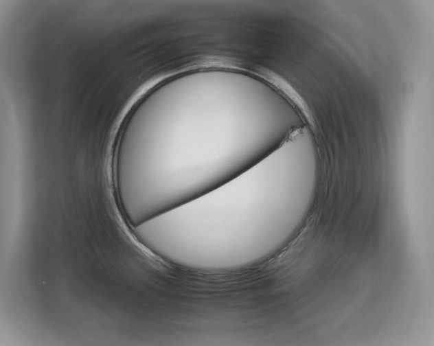 X0000113091339200908280959