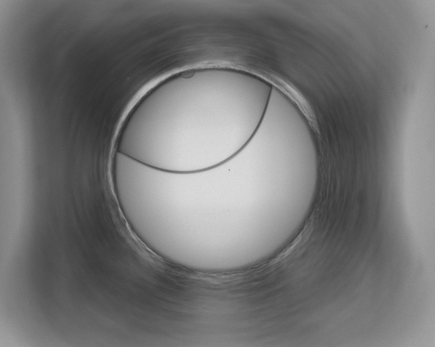 X0000113091340200908280959
