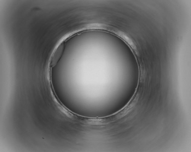 X0000113091342200908281000