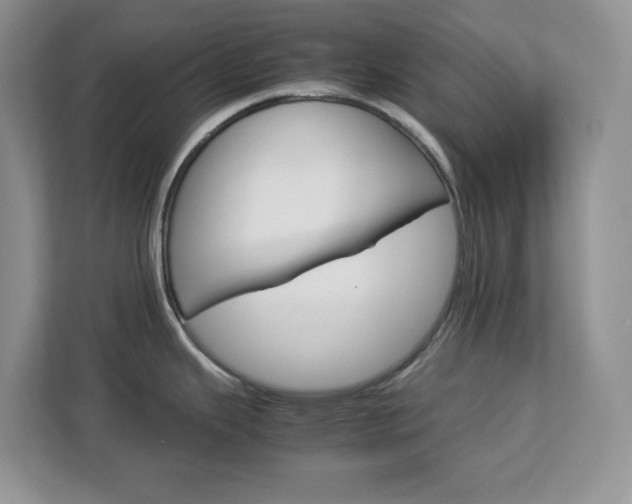 X0000113091343200908281000