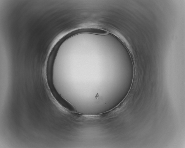 X0000113091344200908281000