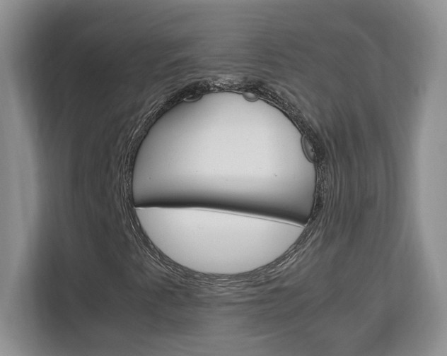 X0000113091345200908280959