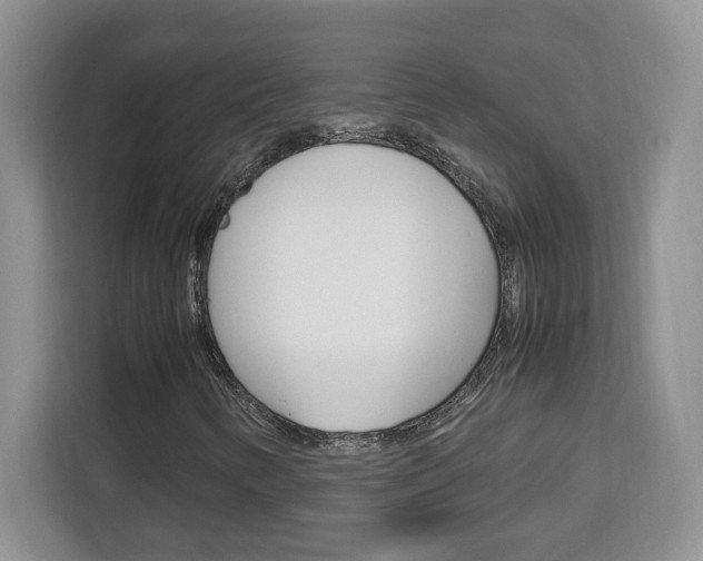 X0000113091346200908280959