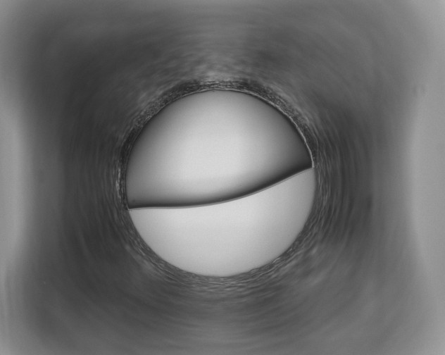X0000113091348200908280959