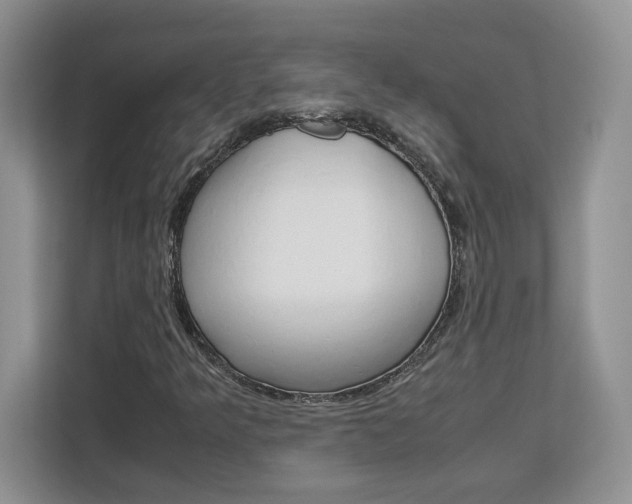 X0000113091349200908280959