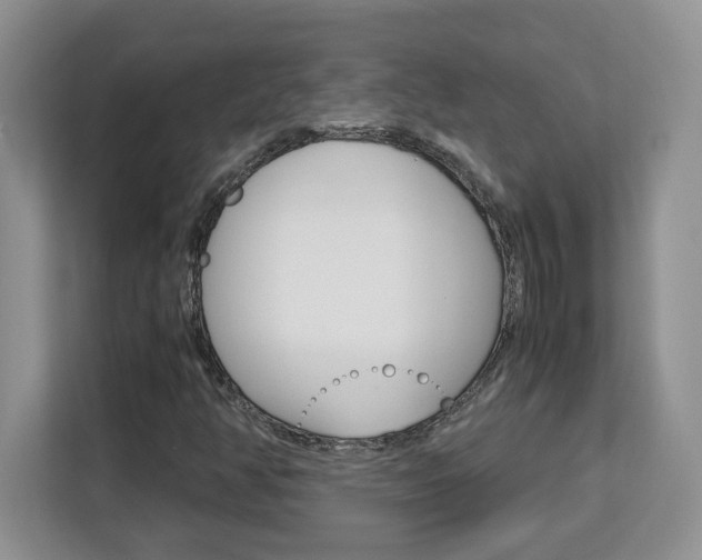 X0000113091350200908280959