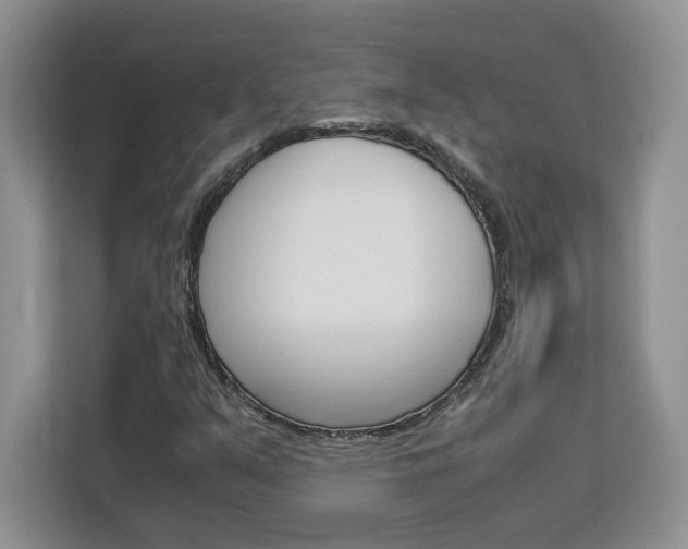 X0000113091351200908280959
