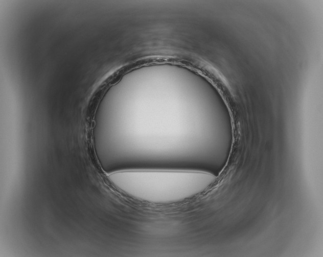 X0000113091352200908280959