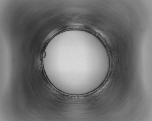 X0000113091354200908280959
