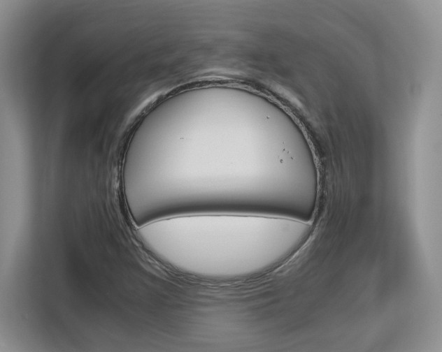 X0000113091355200908280959