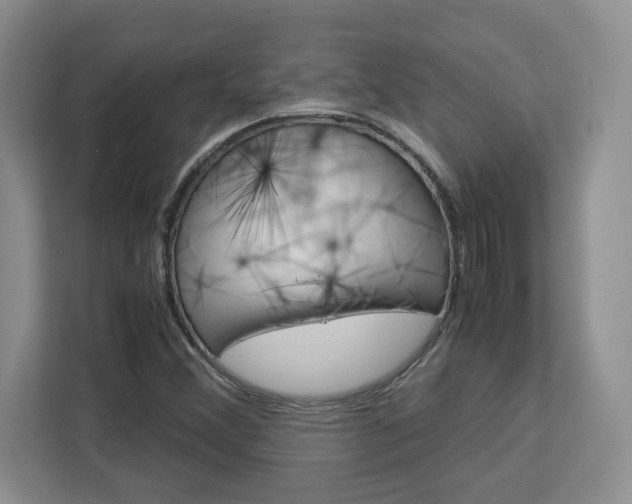 X0000113091356200908280959