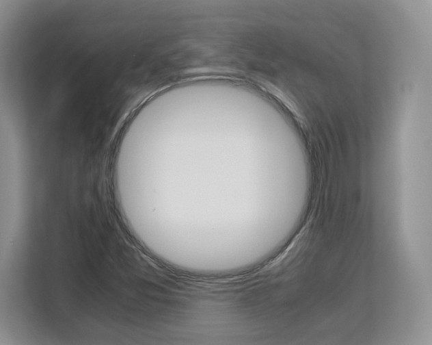 X0000113091357200908280959