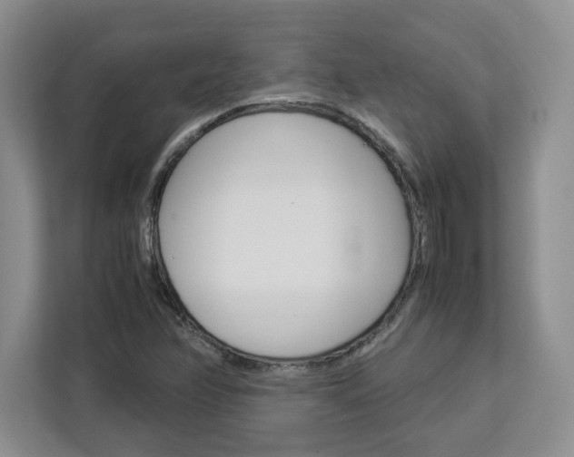 X0000113091358200908280959