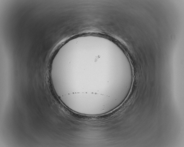 X0000113091359200908280959